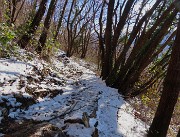 Sulle nevi del Monte Zucco da S. Antonio Abbandonato il 20 febbraio 2026 - FOTOGALLERY